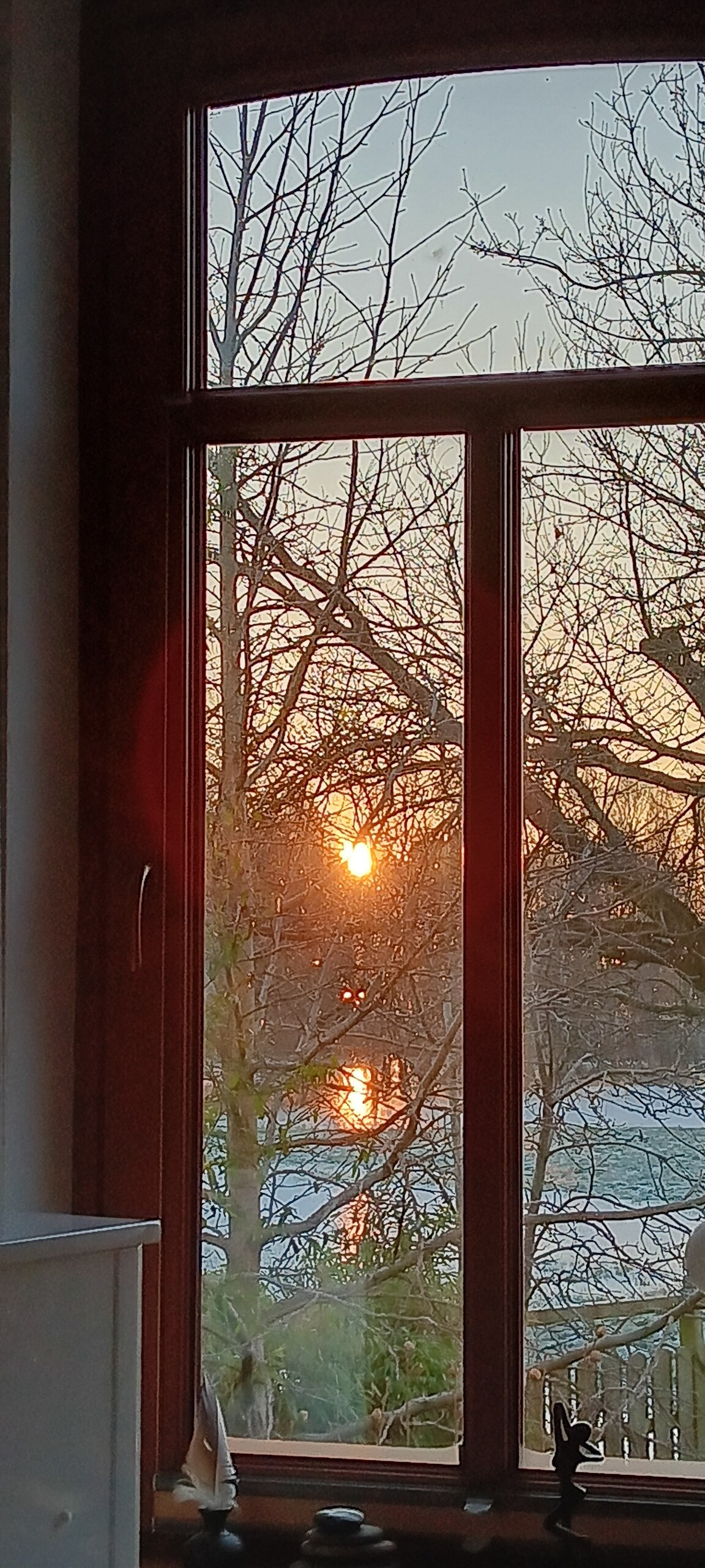 Blick aus dem Fenster über das Moor