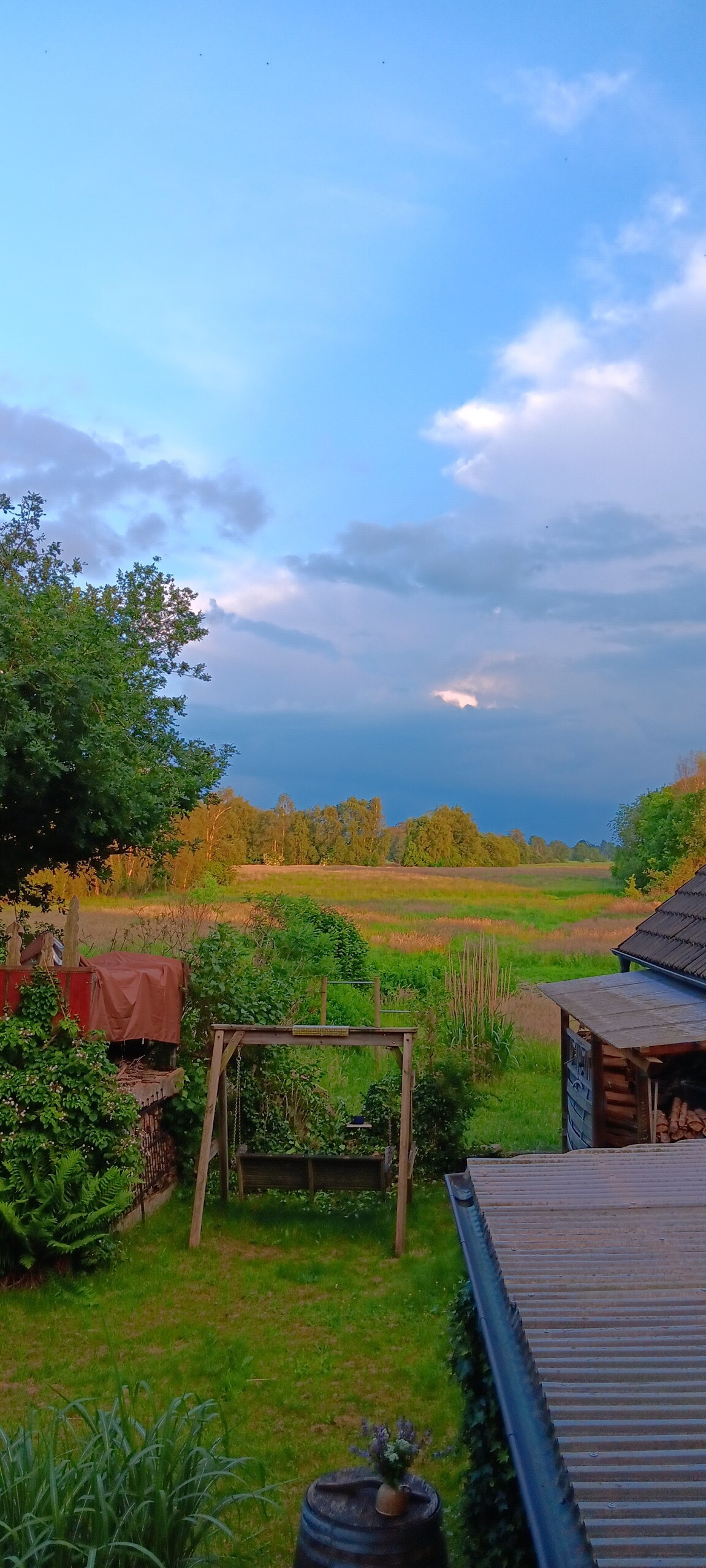 Abendstimmung über den Wiesen